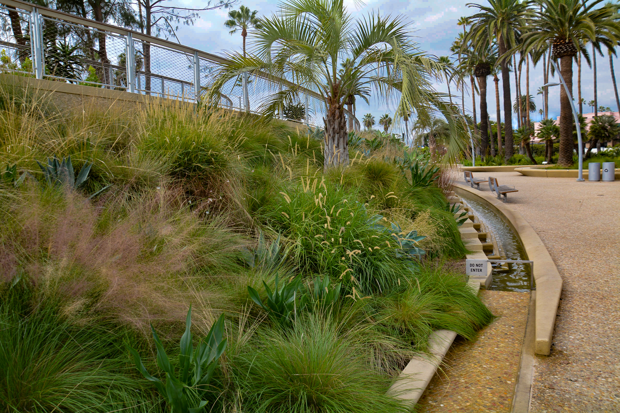 A rich hillside comprised of many different grasses and bulbs.
