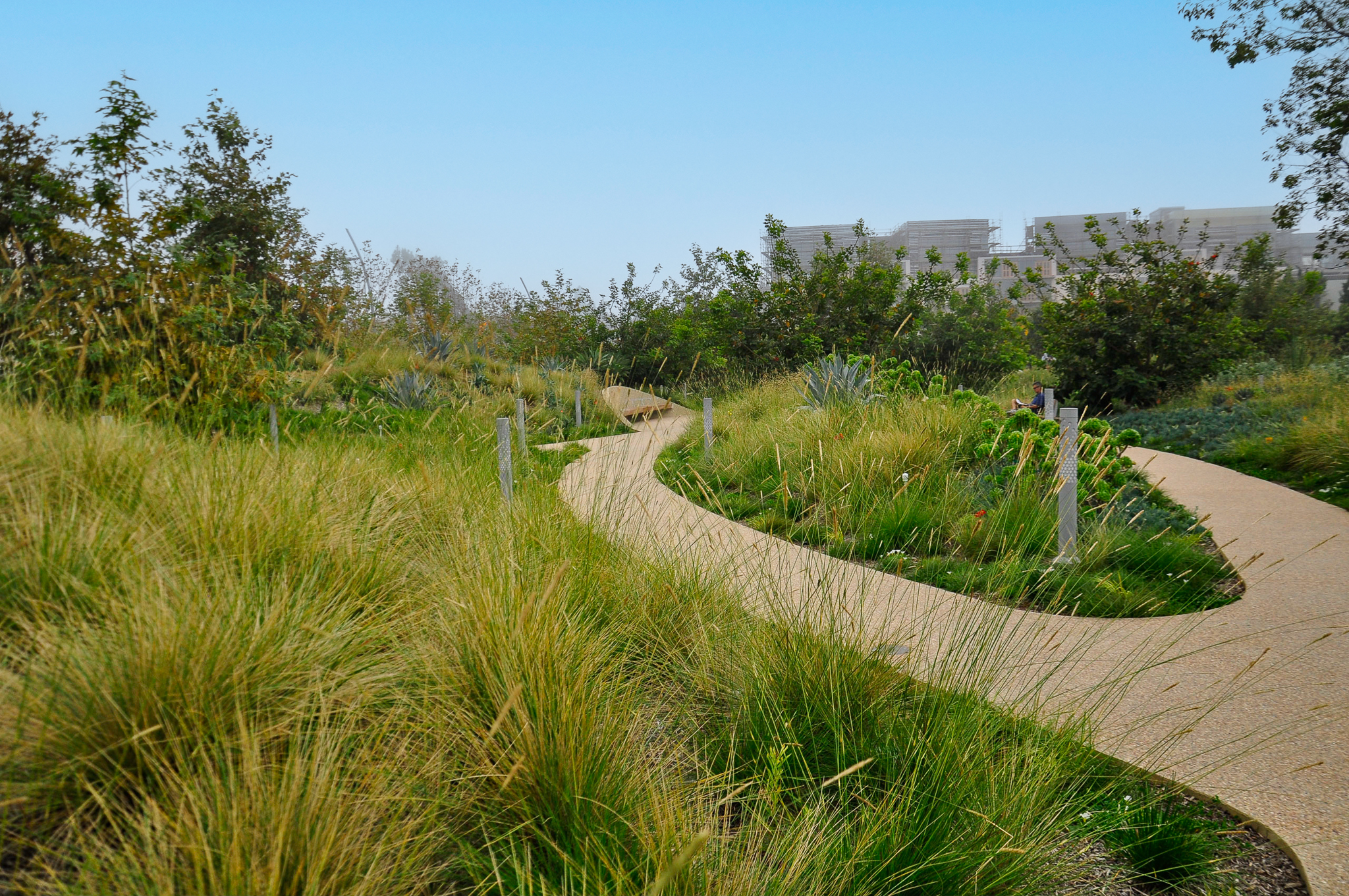 A tan concrete path through the grassy hills of the garden.
