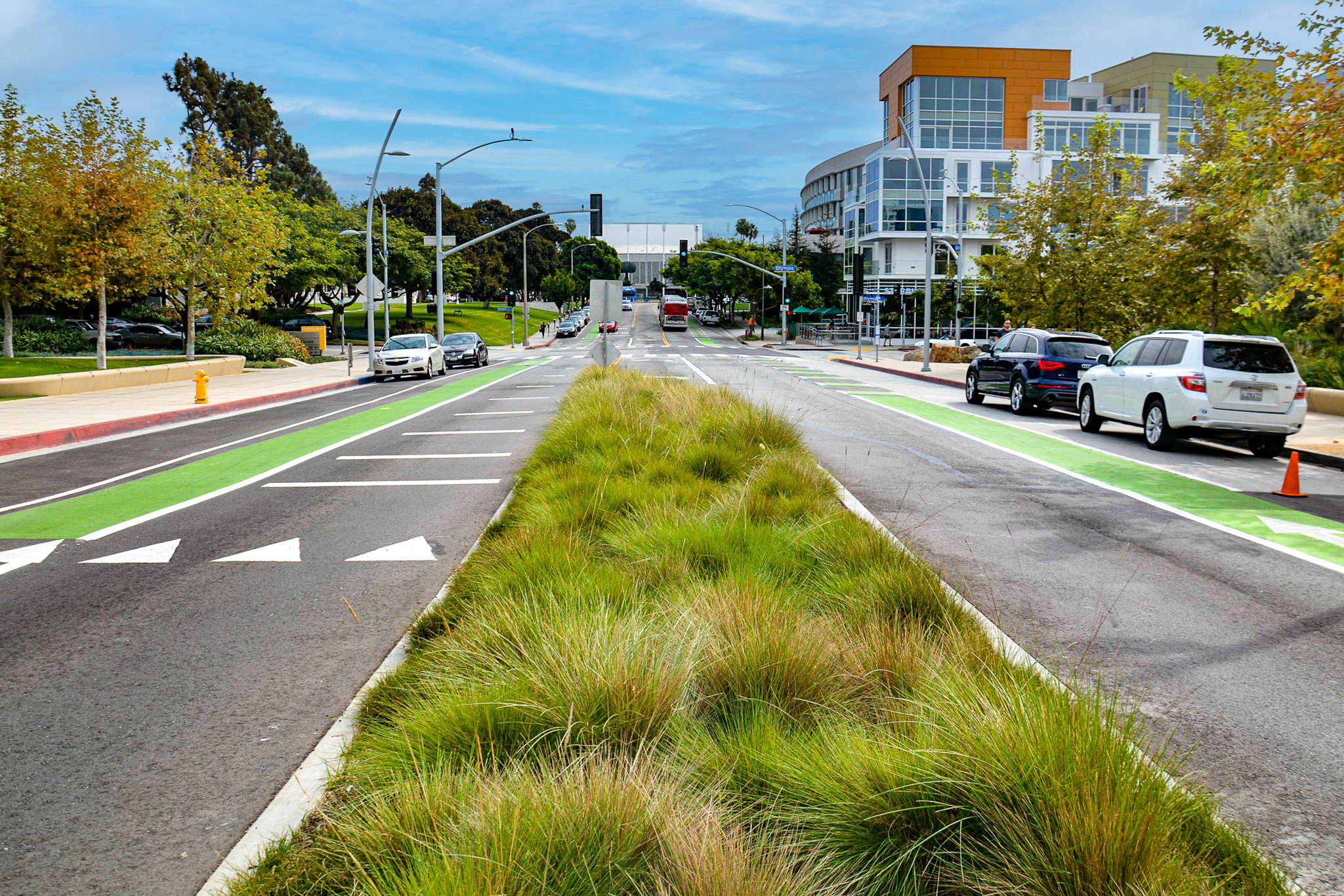 A colourful median of grasses separating 2 roads.