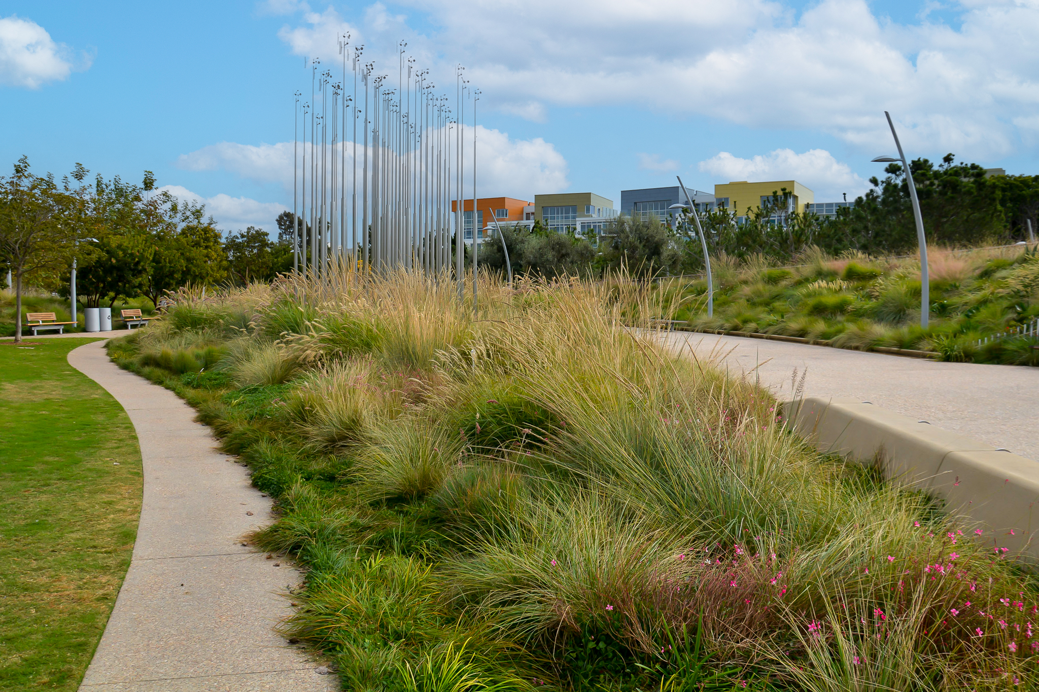 A tall grass meadow interspersed with flowering accents.