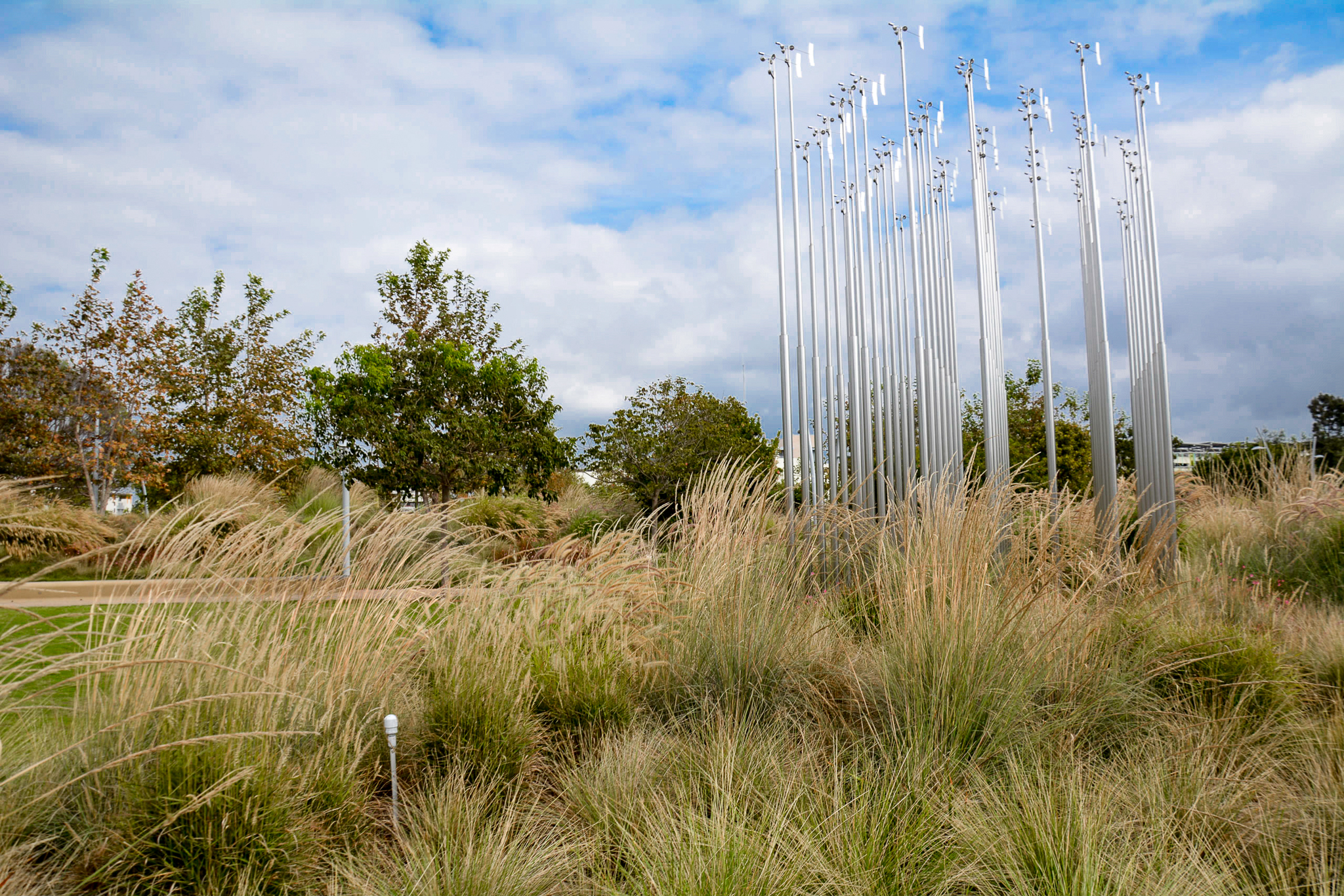 A tall grassy meadow beneath the wind sculpture.